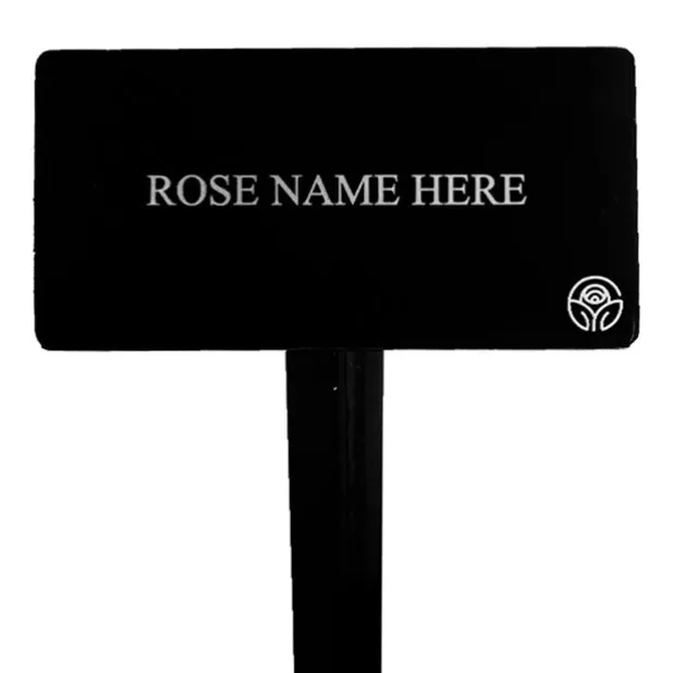 Arborose® Tangerine Skies Stake