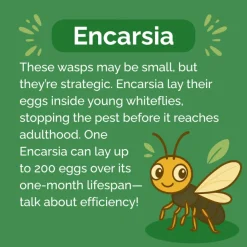 Beneficial Insect Subscription