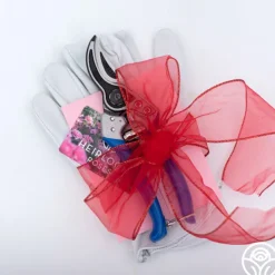 Bloom & Prune Gift Set