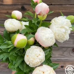 Colonel Owen Cousins