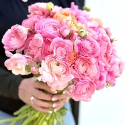 Elegance Pastello La Dolce Vita Mix