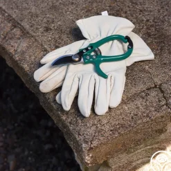 Flora Bypass Pruners