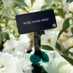 Prairie Princess Stake