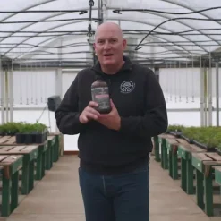 Pure Protect by Heirloom Roses