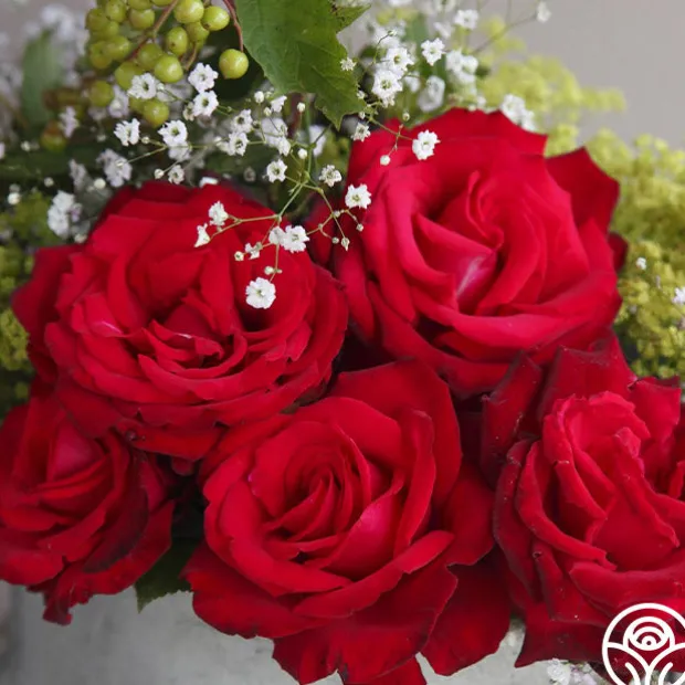 Sunbelt® Desmond Tutu