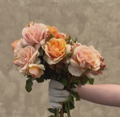 Sunbelt® Soul Sister™