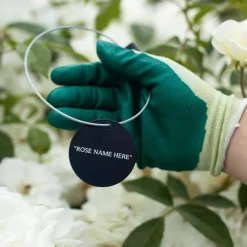 Sweet Mademoiselle™ Tag