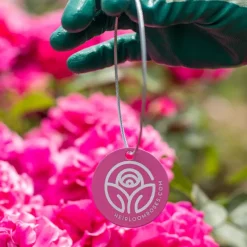 Sweet Mademoiselle™ Tag