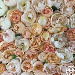 Wollerton Old Hall™